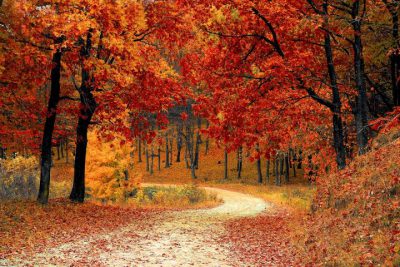 Welcoming the Autumnal Equinox