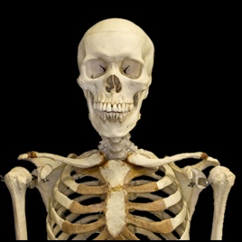 Would You Confess Your Crimes to a Skeleton?