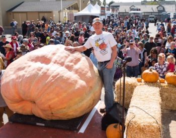 My Pumpkin’s Bigger Than Your Pumpkin