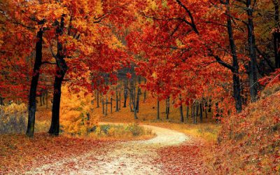 Welcoming the Autumnal Equinox