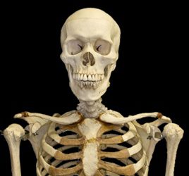 Would You Confess Your Crimes to a Skeleton?
